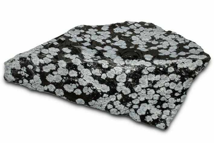 Snowflake Obsidian Section - Utah #327117